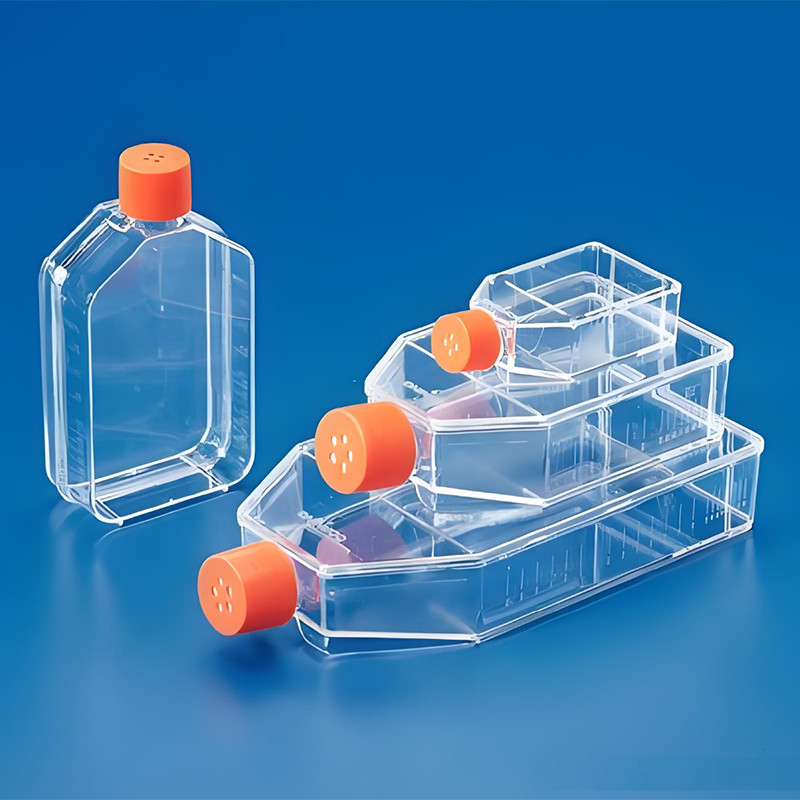 Cell Culture Flasks
